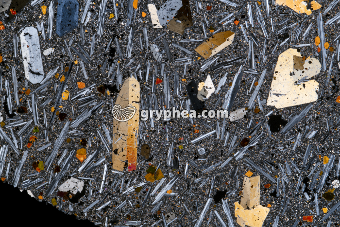 Basalte demi-deuil LPA x1,5 - gryphea.org